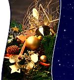 25. 11. 2023<br> Adventseinstimmung am Samstag