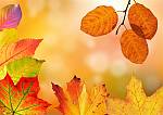 Beginn der Herbstpflanzung
