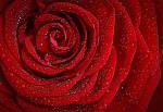 14. 02. 2023<br> Valentinstag
